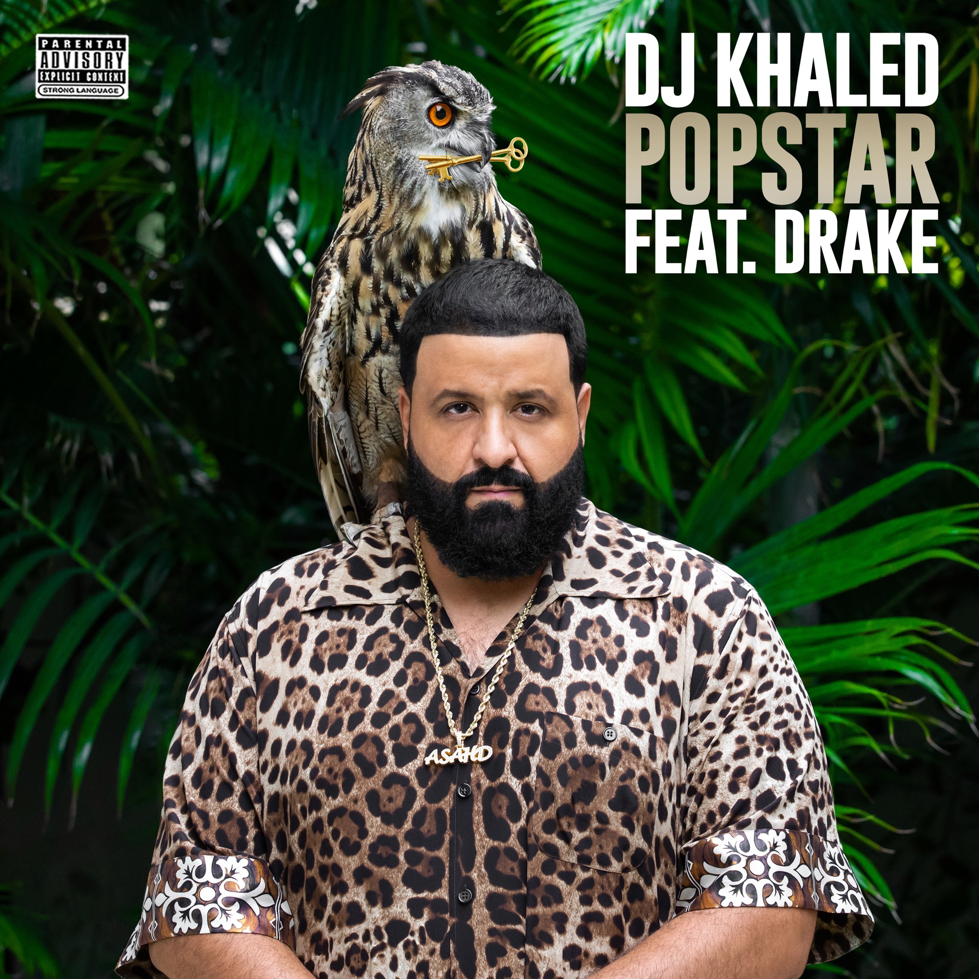 DJ Khaled